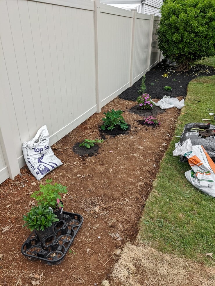 planting perennials
