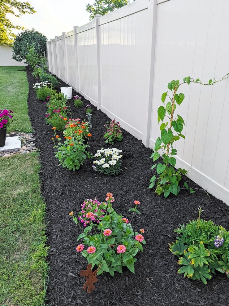 beautiful garden along a fence