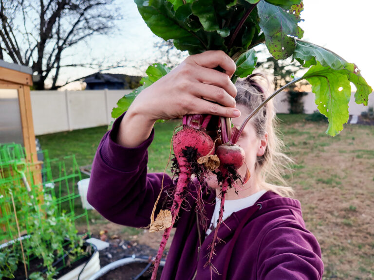 woman holding beets