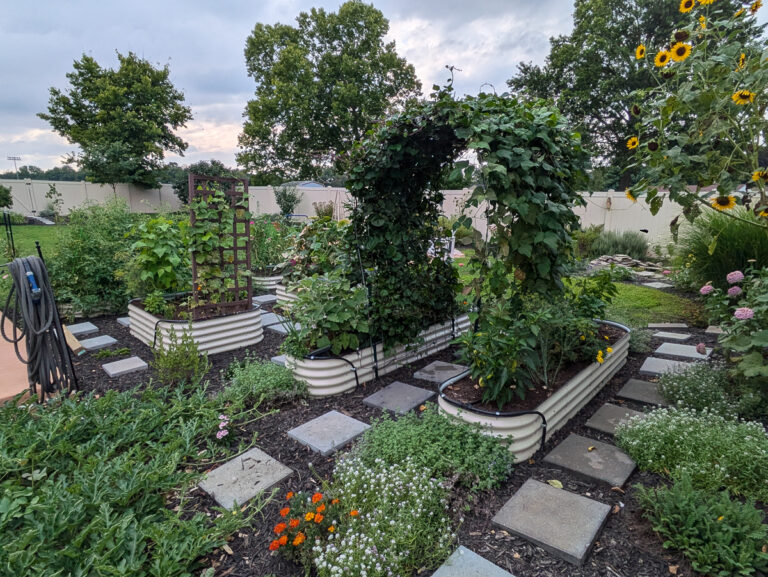 beautiful back garden