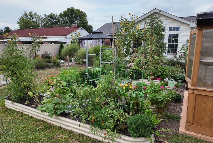 beautiful backyard garden