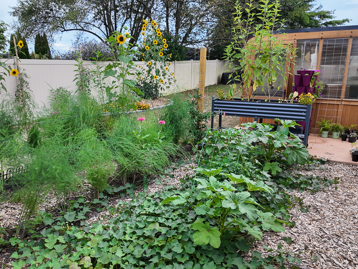 in-ground garden beds in a backyard