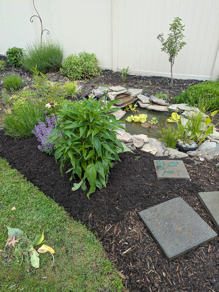 landscaping around a pond
