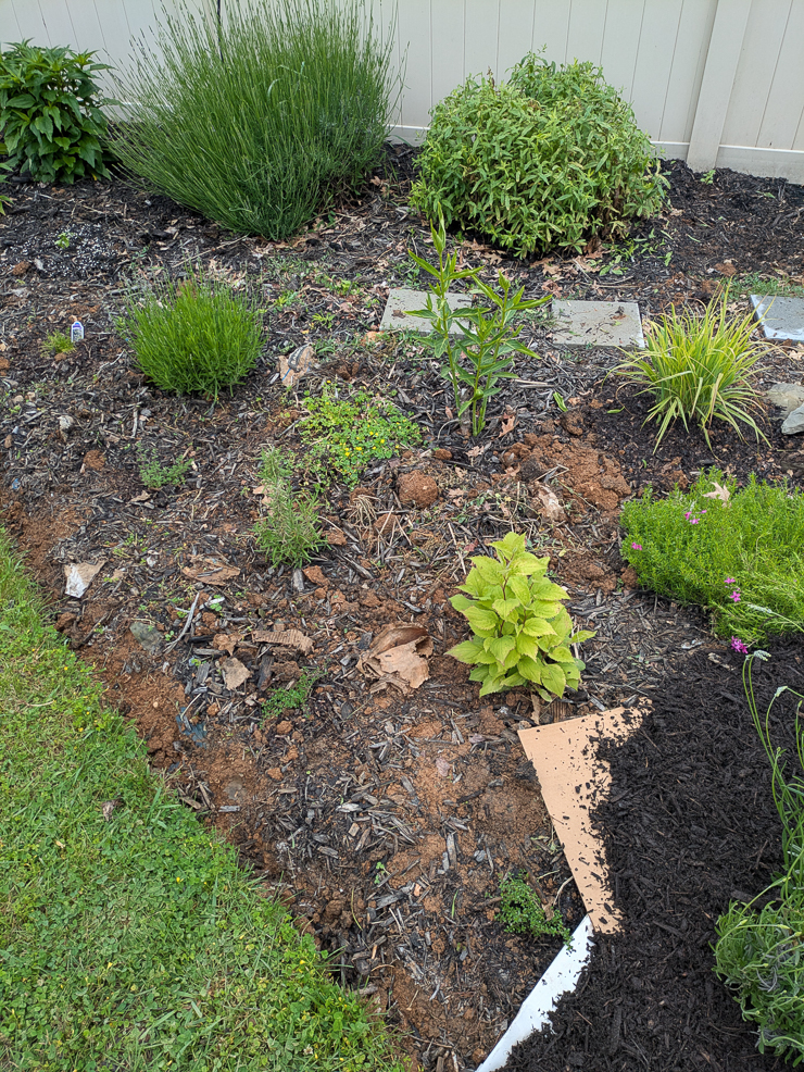 landscaping around a pond
