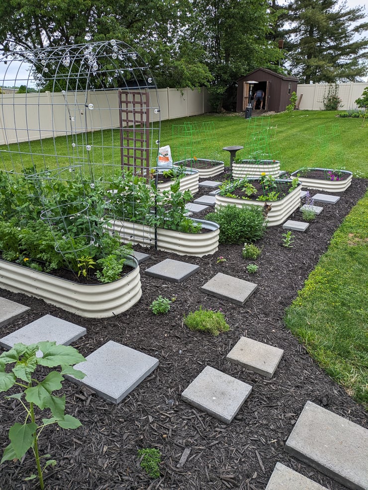 Vego beds in a backyard