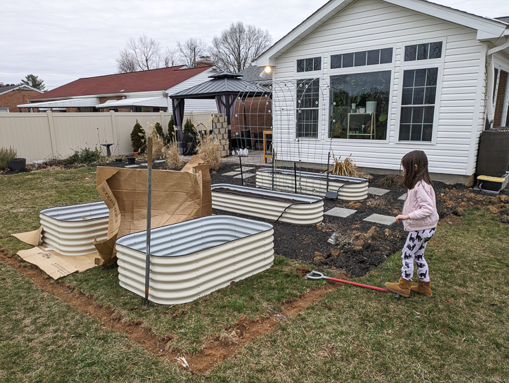 raised beds in a backyard