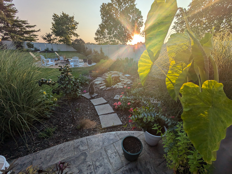 view of a yard from a patio