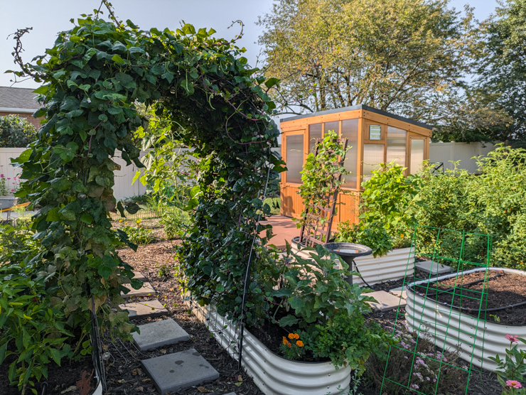 beautiful garden and backyard discovery greenhouse