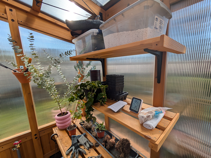 inside of a greenhouse