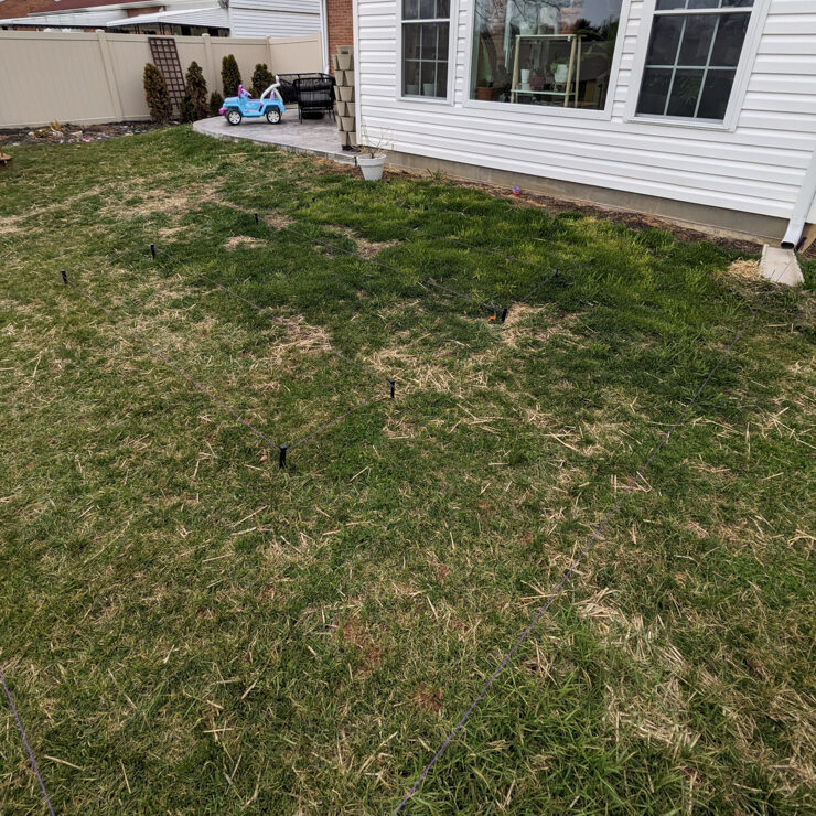grass area before landscaping