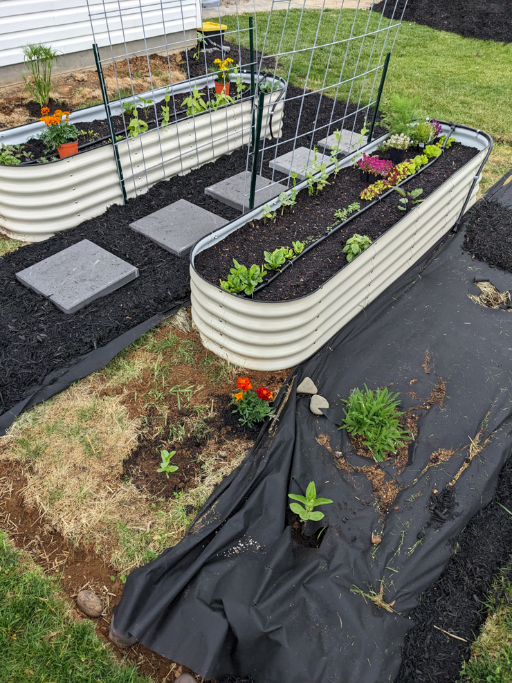 landscaping around raised garden beds