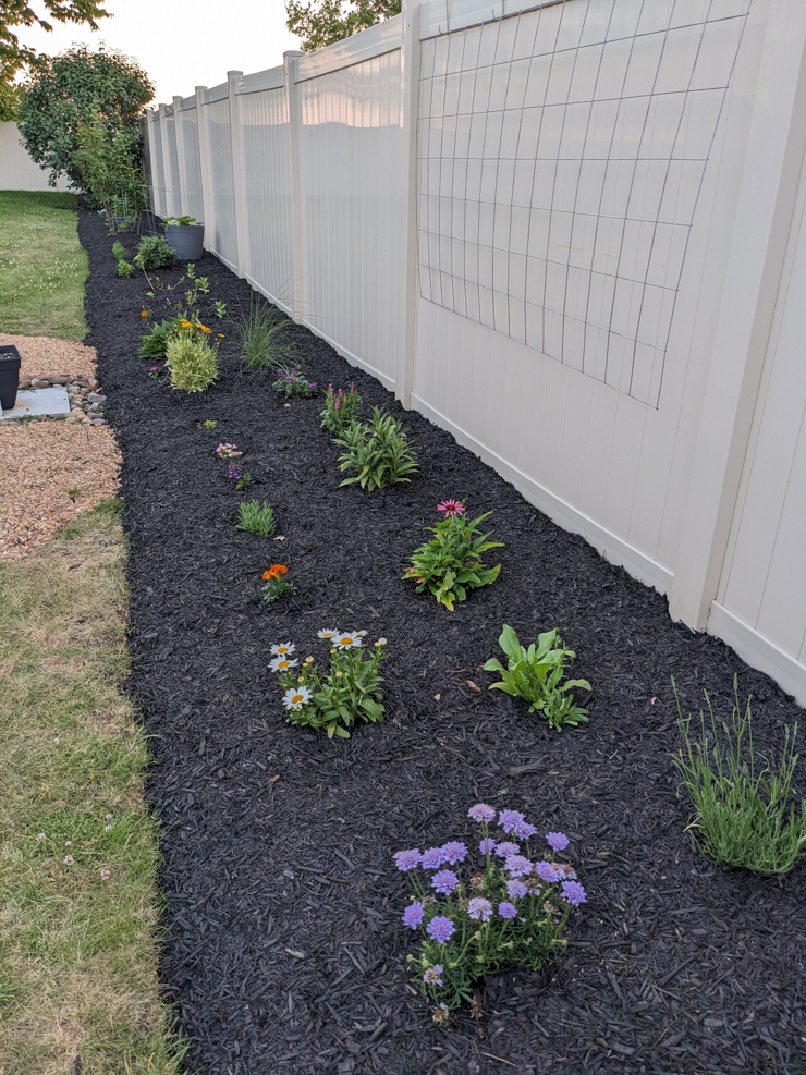 landscaping garden bed along a fence