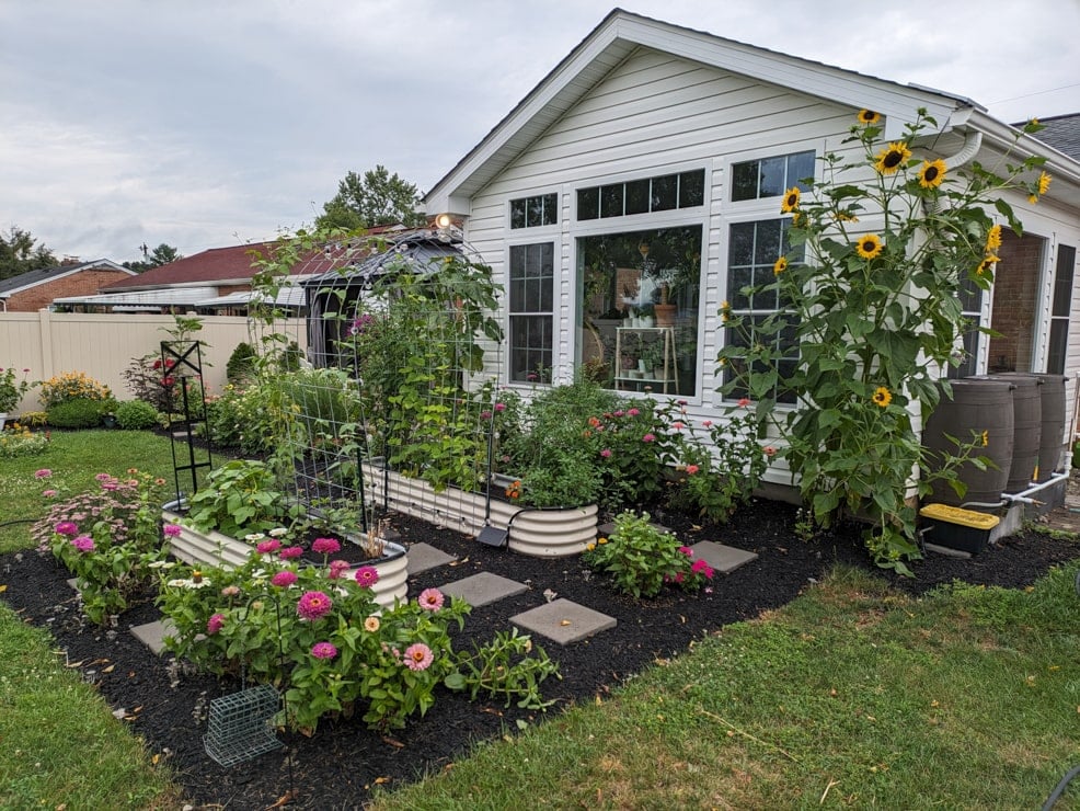 beautiful garden with raised beds