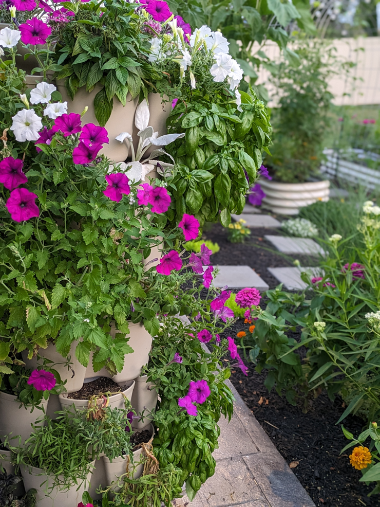 flowers and herbs growing in a greenstalk