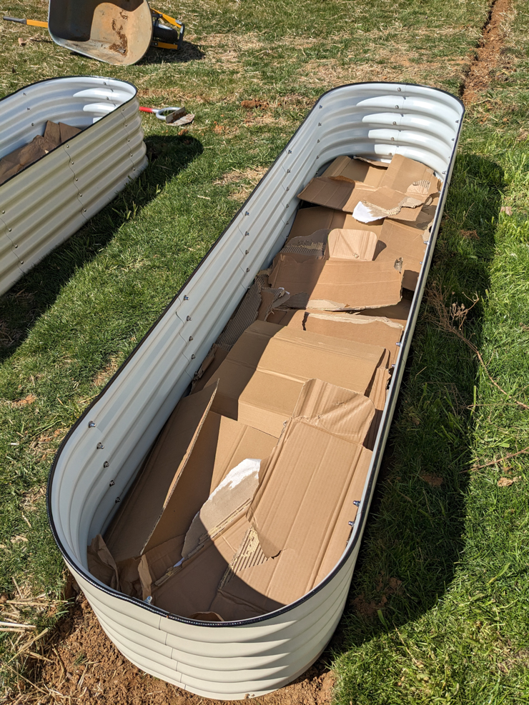 adding cardboard in the vego garden bed