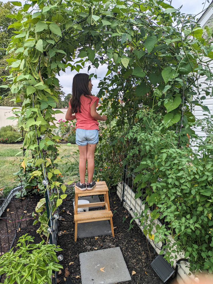 little girl standing in an arch trellis of greenery