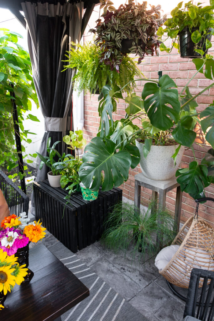 potted plants and furniture on a pretty patio