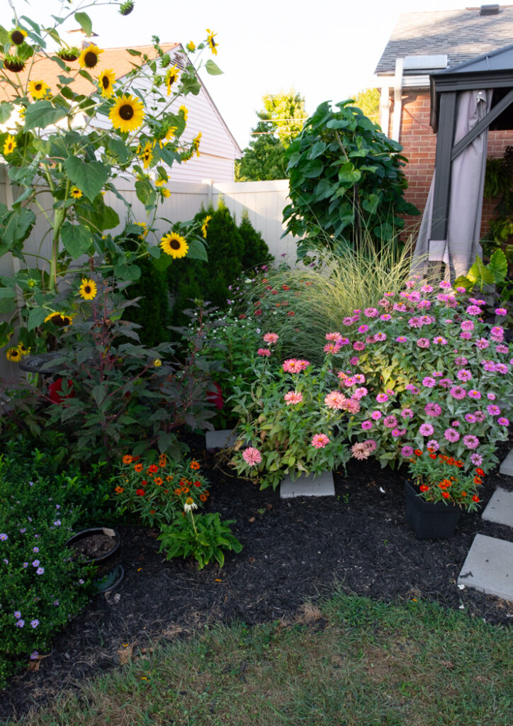 DIY landscaping around a concrete patio