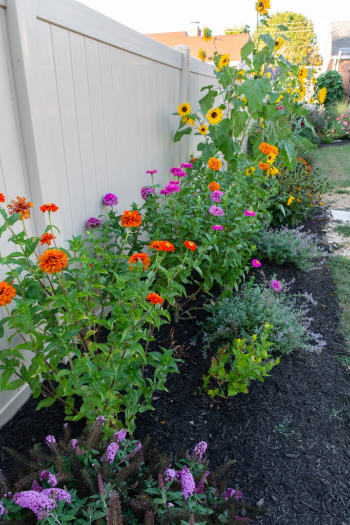 landscaping garden bed along a fence