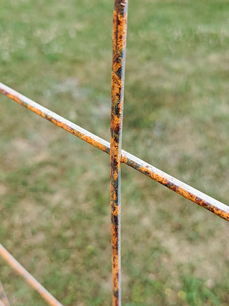 rust on wire remesh