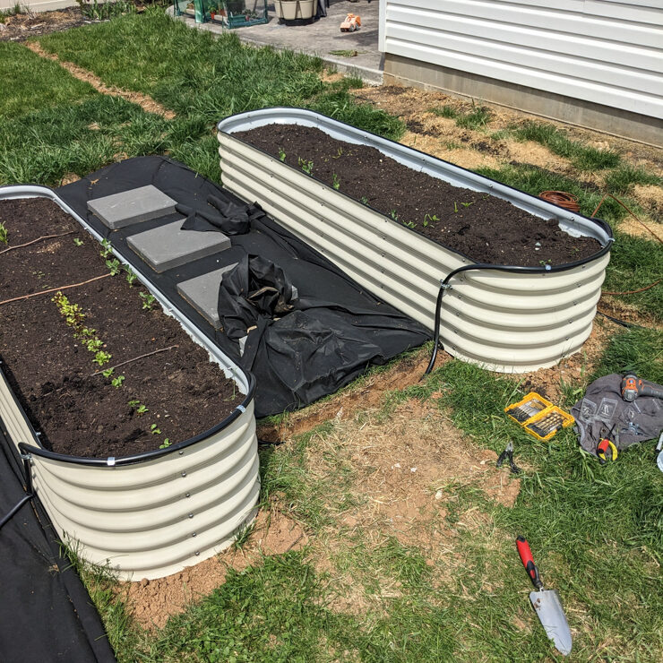setting up an irrigation system on Vego garden beds