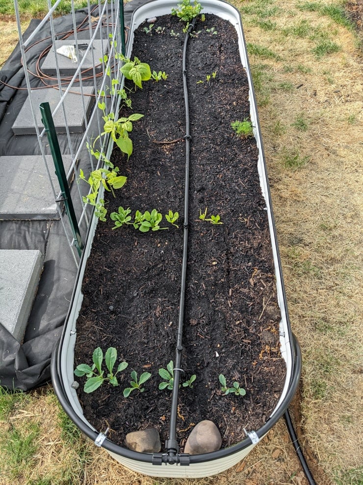solar power rain barrel irrigation system