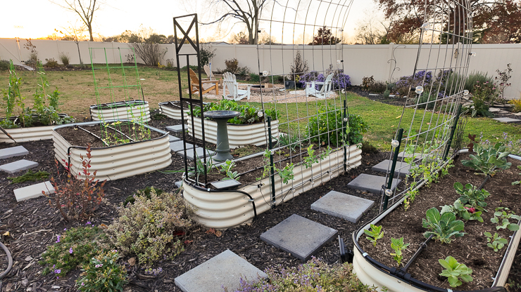 fall garden with raised beds