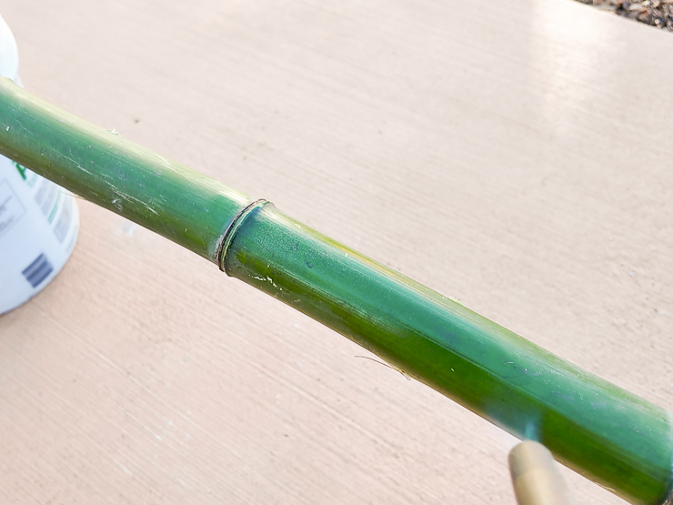 heating curing bamboo