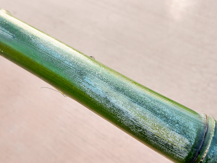 heating curing bamboo