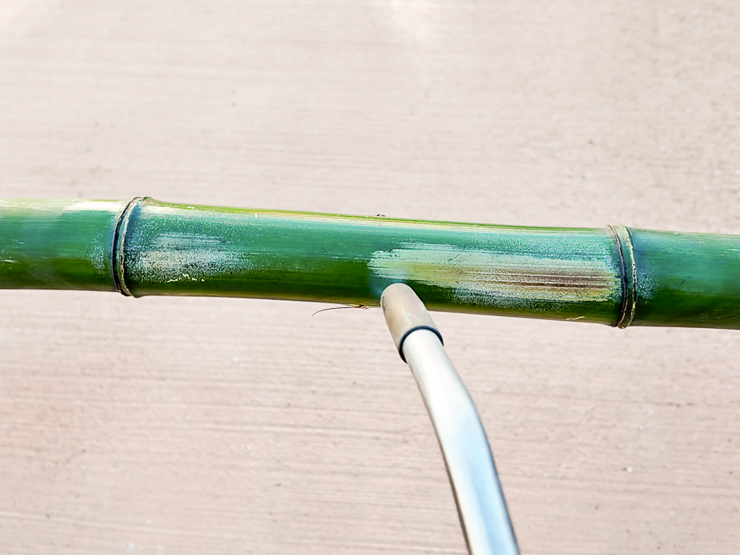 heating curing bamboo