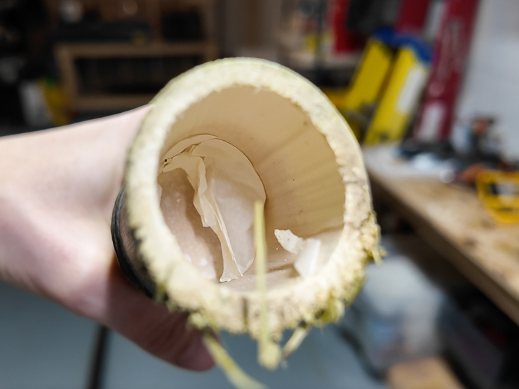inside of a bamboo culm