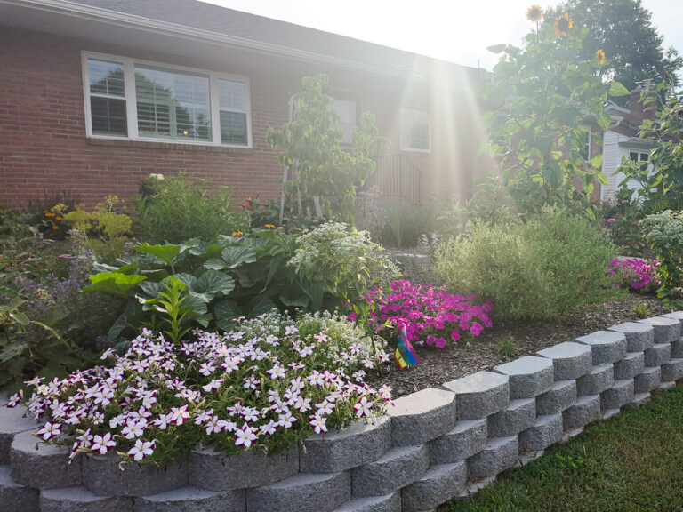 plants in a front garden