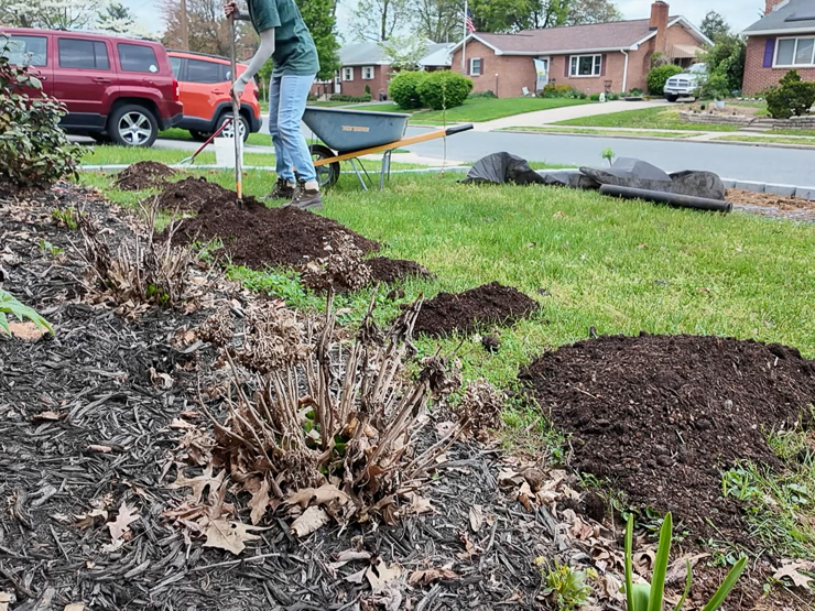 woman spreading manure