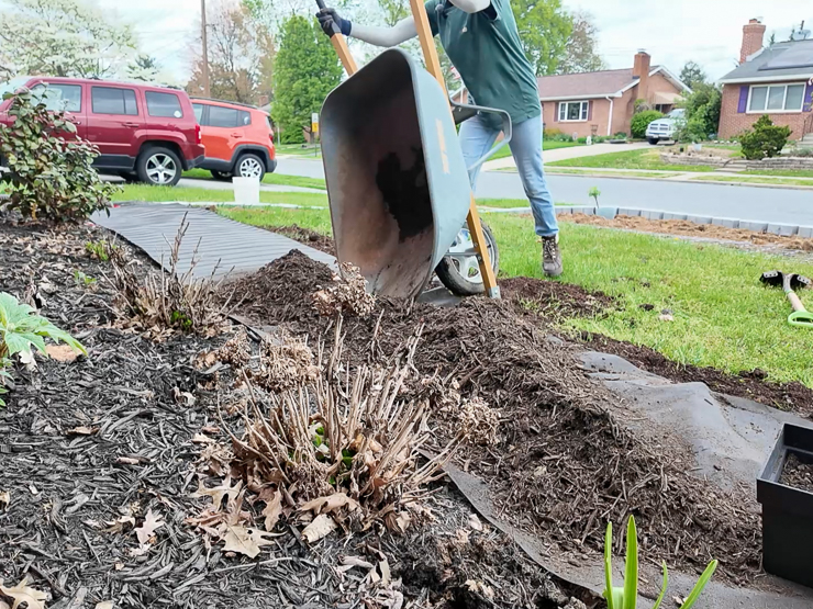 spreading mulch
