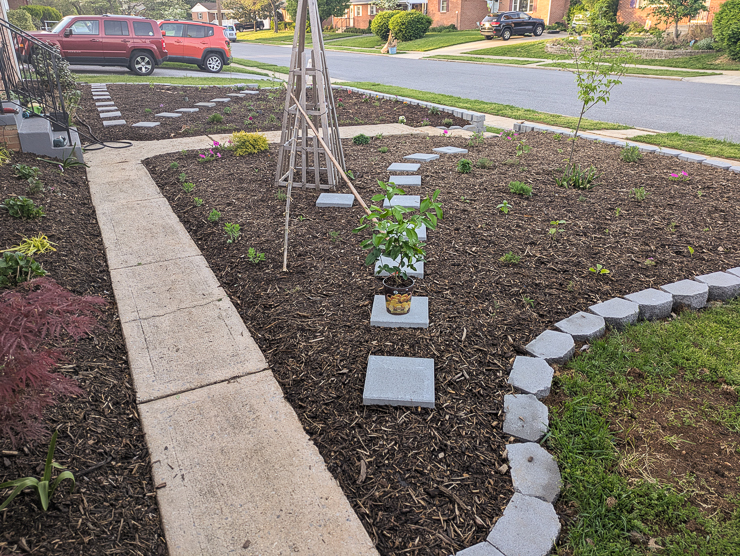landscaped front garden