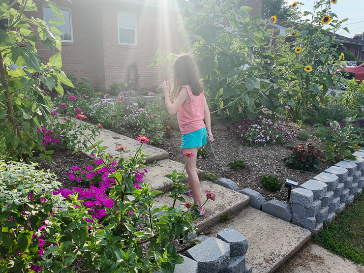 beautiful lawn conversion project
