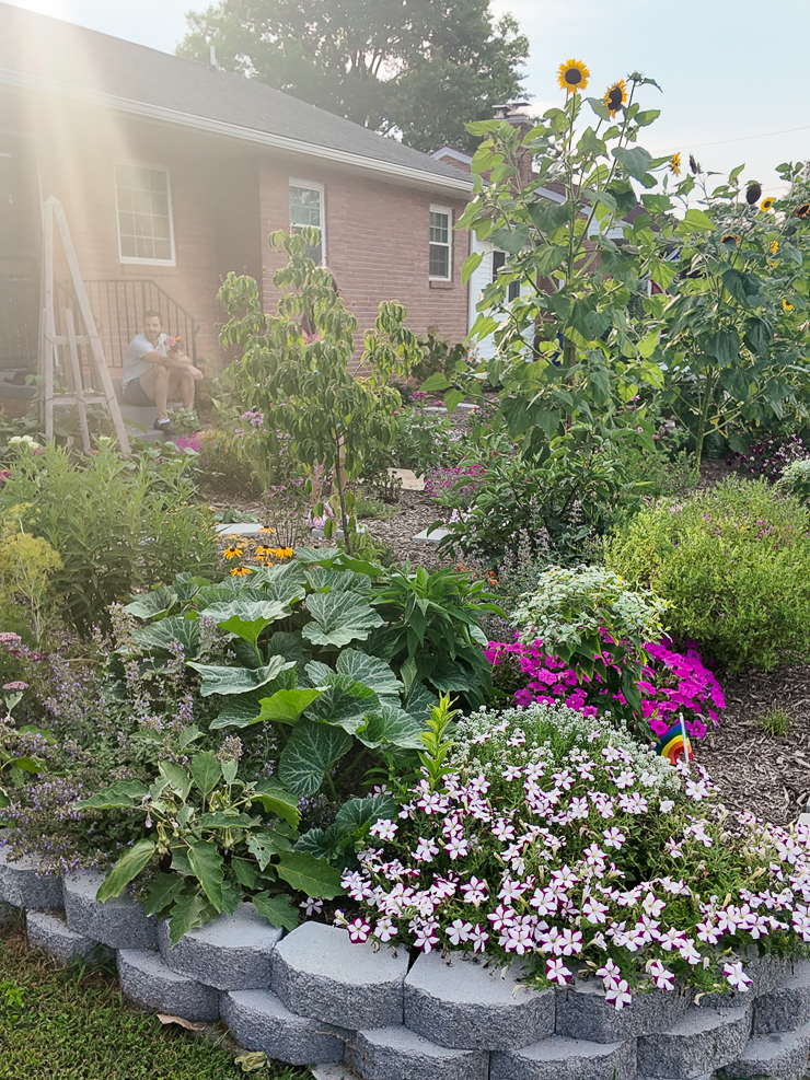 beautiful lawn conversion project