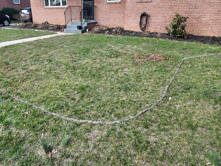 edging out a garden bed