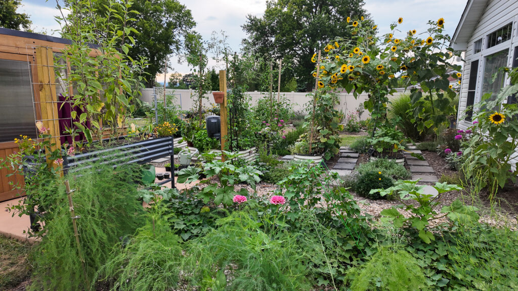 beautiful back garden