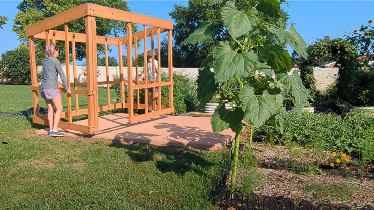 assembling a greenhouse