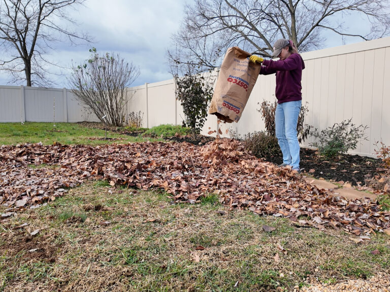 woman dumping leaves on grass