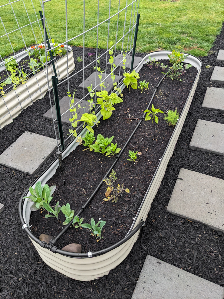 DIY solar-powered rain barrel irrigation system