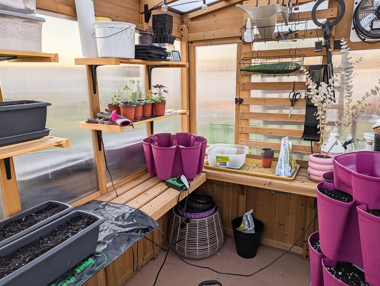 inside a backyard discovery willow