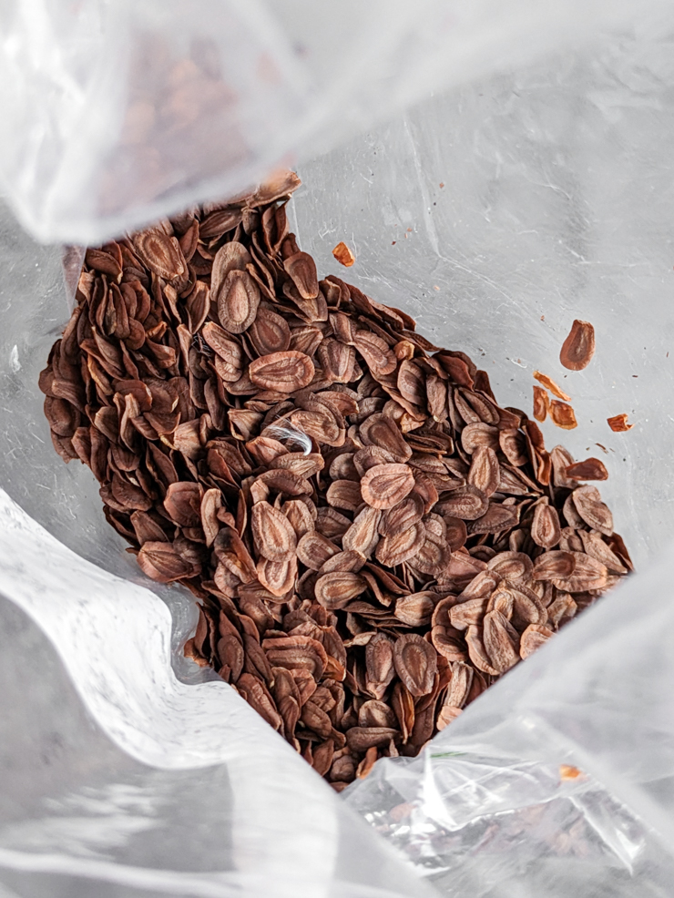 bag of milkweed seeds