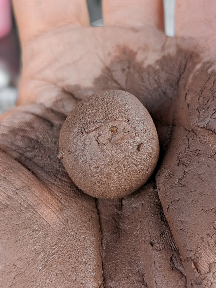 rolling seeds into the clay balls