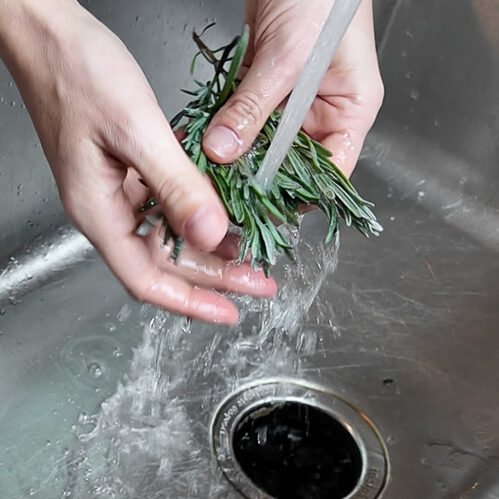 washing lavender