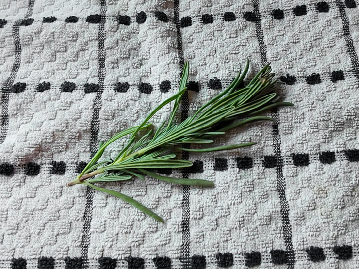 lavender laying out on a towel