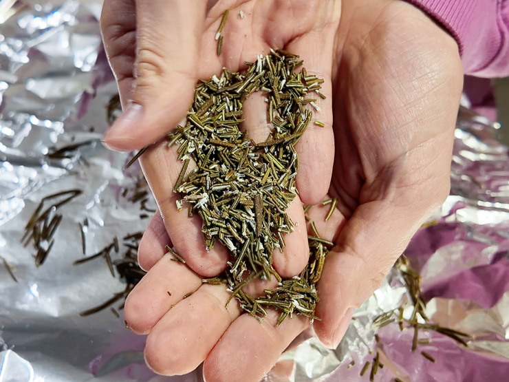 oven drying rosemary