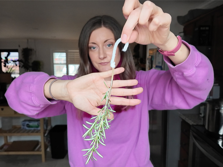 adding pipe cleaner to hang rosemary