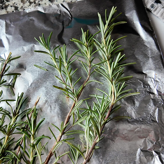 oven drying rosemary